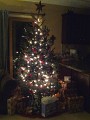 Our Tree 4